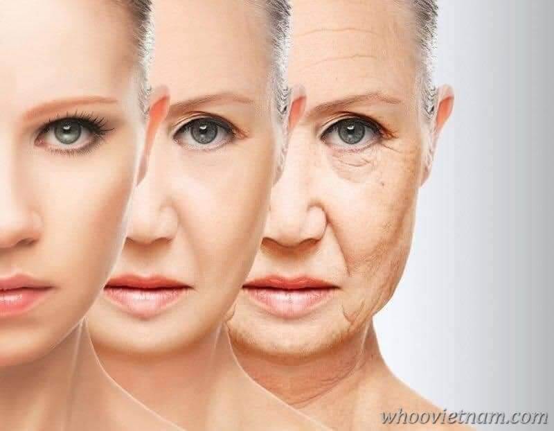 Chống lão hóa da hiệu quả Tăng độ đàn hồi da, nâng cơ da mặt