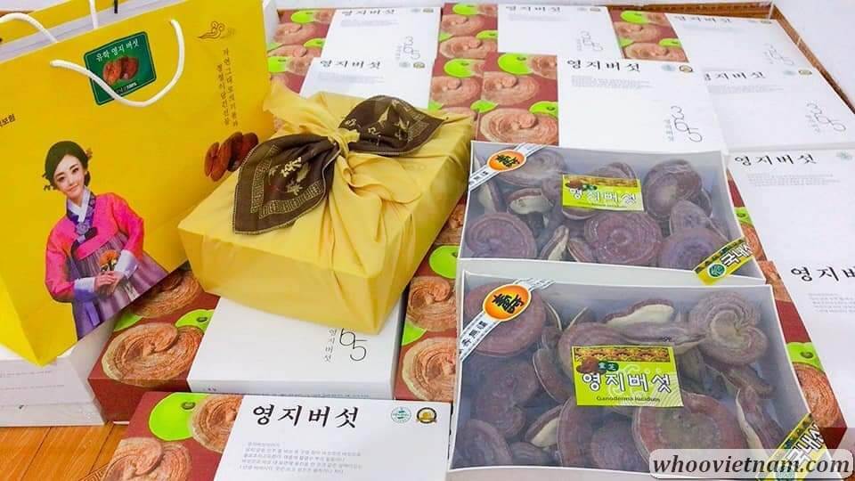 Nấm Linh Chi Vàng 365 Hàn Quốc Thượng Hạng Hộp Quà Tặng 1kg