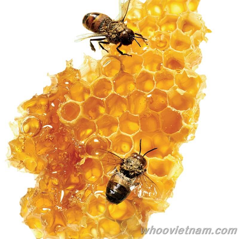 Hồng sâm Hàn Quốc 6 năm tuổi nguyên củ tẩm mật ong chính hãng Bio Apgold